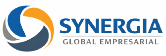 Synergia Global Empresarial